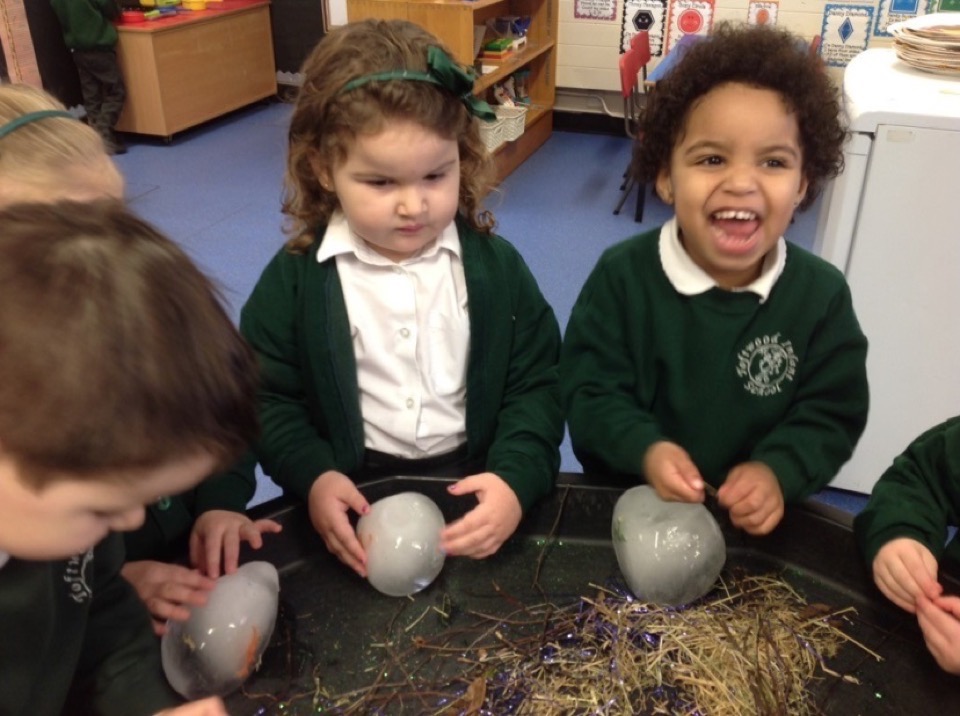 Nursery Spring 1 2019 – Toftwood Infant and Junior School Federation